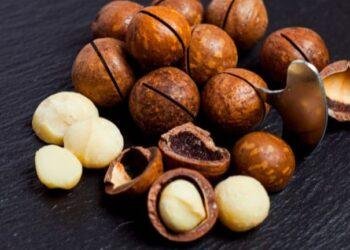 FG places a 6-month ban on export of raw shea nuts
