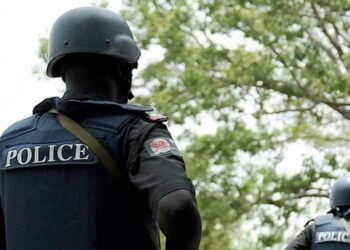 Why Lagos police boss declared me wanted - Sowore