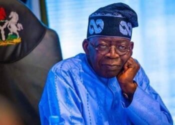 Arewa group lauds Tinubu's economic reforms as step towards national recovery