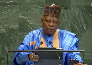 Shettima demands permanent UN Security Council Seat for Nigeria