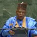 Shettima demands permanent UN Security Council Seat for Nigeria