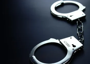 Nigerians rank second in India’s 2024 Drug arrests with 106 cases linked to trafficking