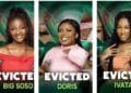 BBNaija logo
