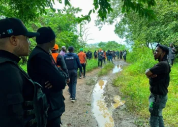 Edo security forces chase kidnappers, demolish camps in Owan Forest