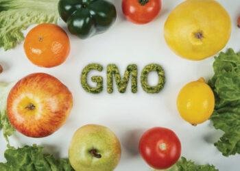 Environmentalist warns Nigeria against food colonialism, GMO dependency