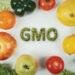 Environmentalist warns Nigeria against food colonialism, GMO dependency