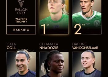 Nigeria's Nnadozie ranked fourth-best goalkeeper in the world