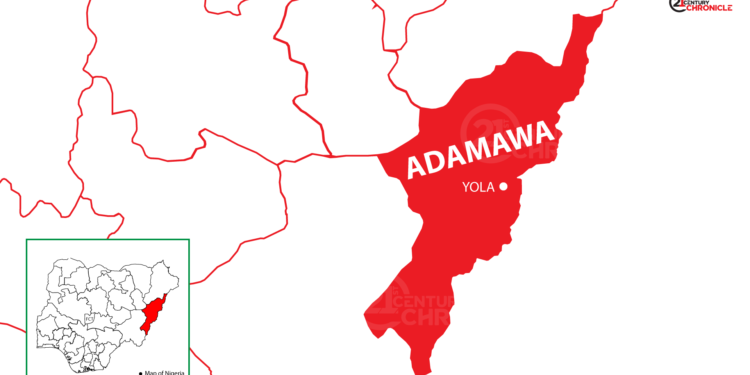 Police launch investigation after man found dead in Adamawa