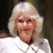 New book reveals how Camilla fought off an attacker with a shoe