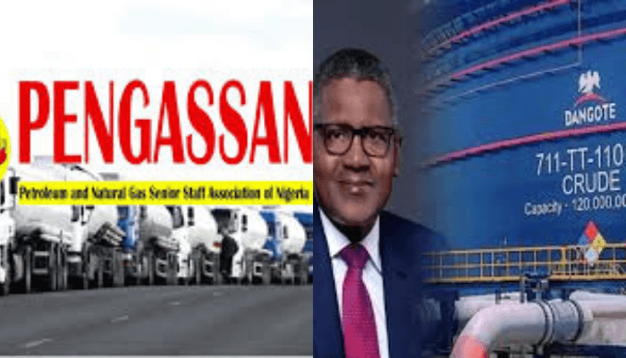 Gas shortages affecting power generating plants as Dangote, PENGASSAN crisis persist-NISO
