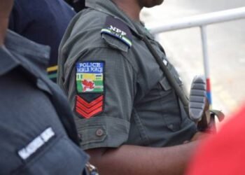 Police smash cult, armed robbery syndicates in Delta