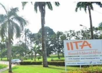 IITA celebrates Mercy Diebiru-Ojo as 2025 Africa Food Prize Laureate for breakthrough in Cassava, Yam research
