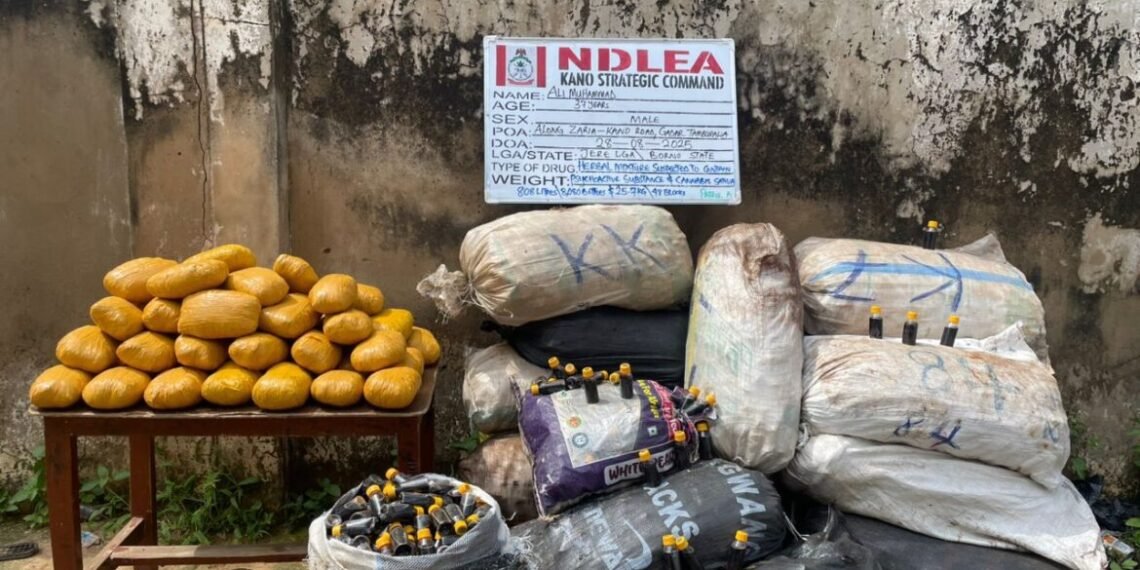 NDLEA arrests 2 suspects, recovers 112kg of cannabis in Kano