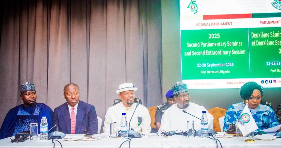 Harnessing AI to fix broken healthcare system in Nigeria, West Africa, expert tells ECOWAS Parliament