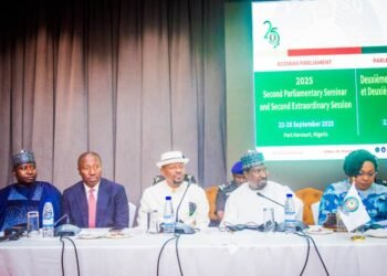 Harnessing AI to fix broken healthcare system in Nigeria, West Africa, expert tells ECOWAS Parliament