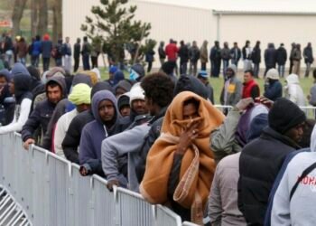 Canada rejects over 1,596 Nigerian Asylum claims in 2025 amid rising migration wave