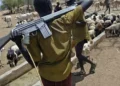 Fulani council bans night grazing, firearms possession by herders