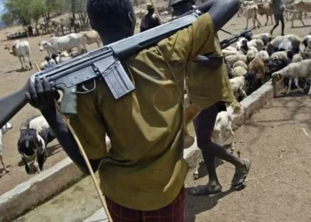 Fulani council bans night grazing, firearms possession by herders