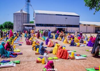 NEDC provides relief to 2,261 flood victims in Yobe