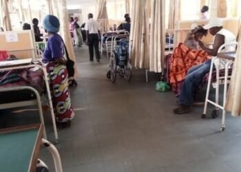 7 die from mysterious flesh-eating disease in Adamawa