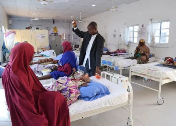 Kano confirms 2 Mpox cases, says patients fully recovered