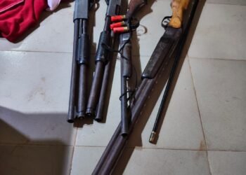 Police arrest suspected political thug, cultist, recover firearms, others in Anambra