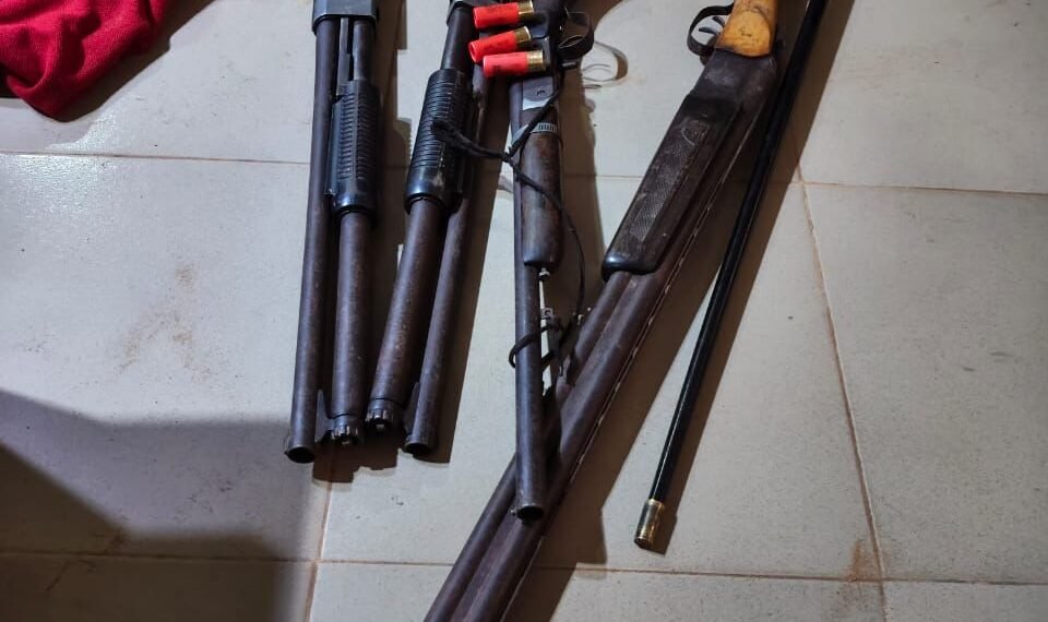 Police arrest suspected political thug, cultist, recover firearms, others in Anambra
