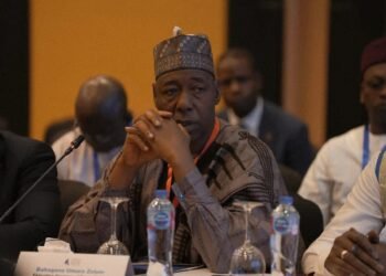 Gov. Zulum calls for a comprehensive strategy to address Sahel crisis