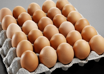 World Egg Day: Poultry industry contributes 25% to Nigeria’s Agricultural GDP — PAN