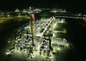 Breaking the African Middlemen Web for Industrialization: The Dangote Refinery Experience