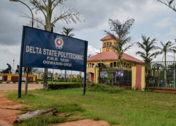Delta Polytechnic Ogwashi-Uku lecturers begin two-week strike