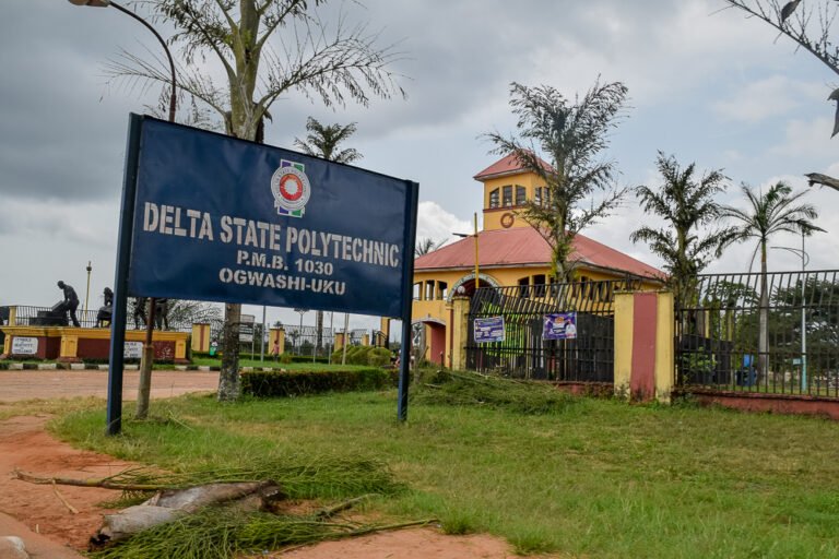 Delta Polytechnic Ogwashi-Uku lecturers begin two-week strike