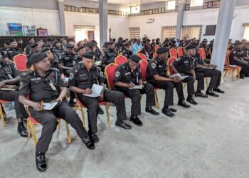 Police assure of adequate security ahead of 2025 Maukibi celebration in Kano