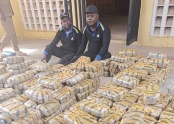 Fake police officers caught with over 1,100 blocks of cannabis in Taraba