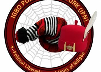 Group mobilizes over 5,000 independent observers to monitor Anambra guber polls