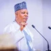 Economic hardship will soon abate, Shettima assures Nigerians