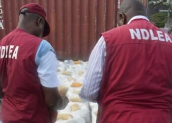 NSCDC arrests suspected Marijuana dealer, hands over to NDLEA in Kano
