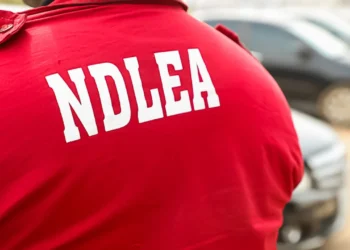 NDLEA arrests 58 seizes over 570kg of illicit drugs in Adamawa