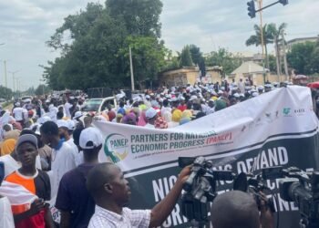 Thousands protest in Kaduna over threat to Dangote Refinery