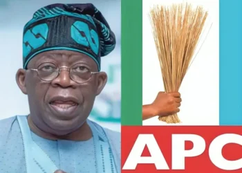 2027: Ethnic politics won’t hinder Tinubu’s re-election—APC