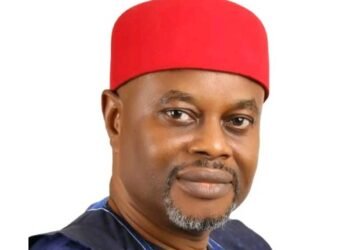 Geoffrey Nnaji resigns as Minister of Innovation amid certificate forgery scandal