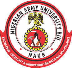 Lecturer urges Tinubu, National Assembly to halt move to scrap Nigerian Army University, Biu