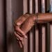 Delta Court jails 4 illegal revenue collectors for 4 years each over extortion