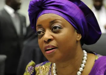 Reps to investigate allegations against Businessman linked to Ex- Petroleum Minister, Deziani Allison Madueke