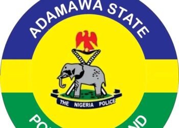 Police detain 2 officers for shooting at a vehicle in Adamawa