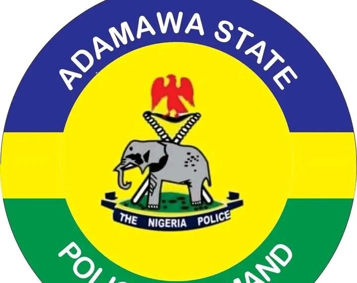 Police detain 2 officers for shooting at a vehicle in Adamawa