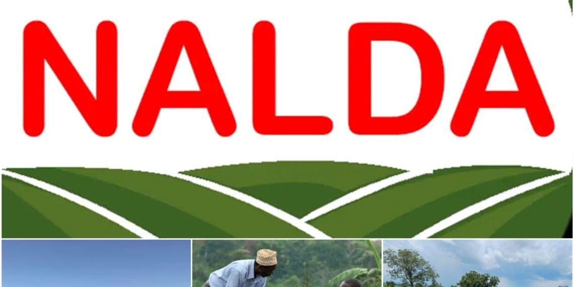 NALDA says Renewed Hope Mega Farms can lift 100,000 Nigerians out of Poverty