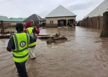 Commissioner visits flood-affected communities, assures of govt’s intervention