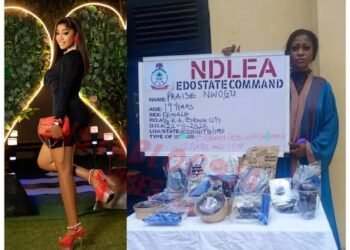 NDLEA arrest popular TikToker CandyTeddy for selling drug-laced brownies in Benin City