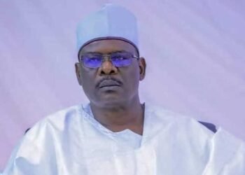 Ndume urges FG to deploy Akinyemi, Kingibe, Anyaoku to defend Nigeria before the US